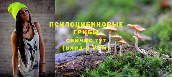 PSILOCYBIN Белоозёрский